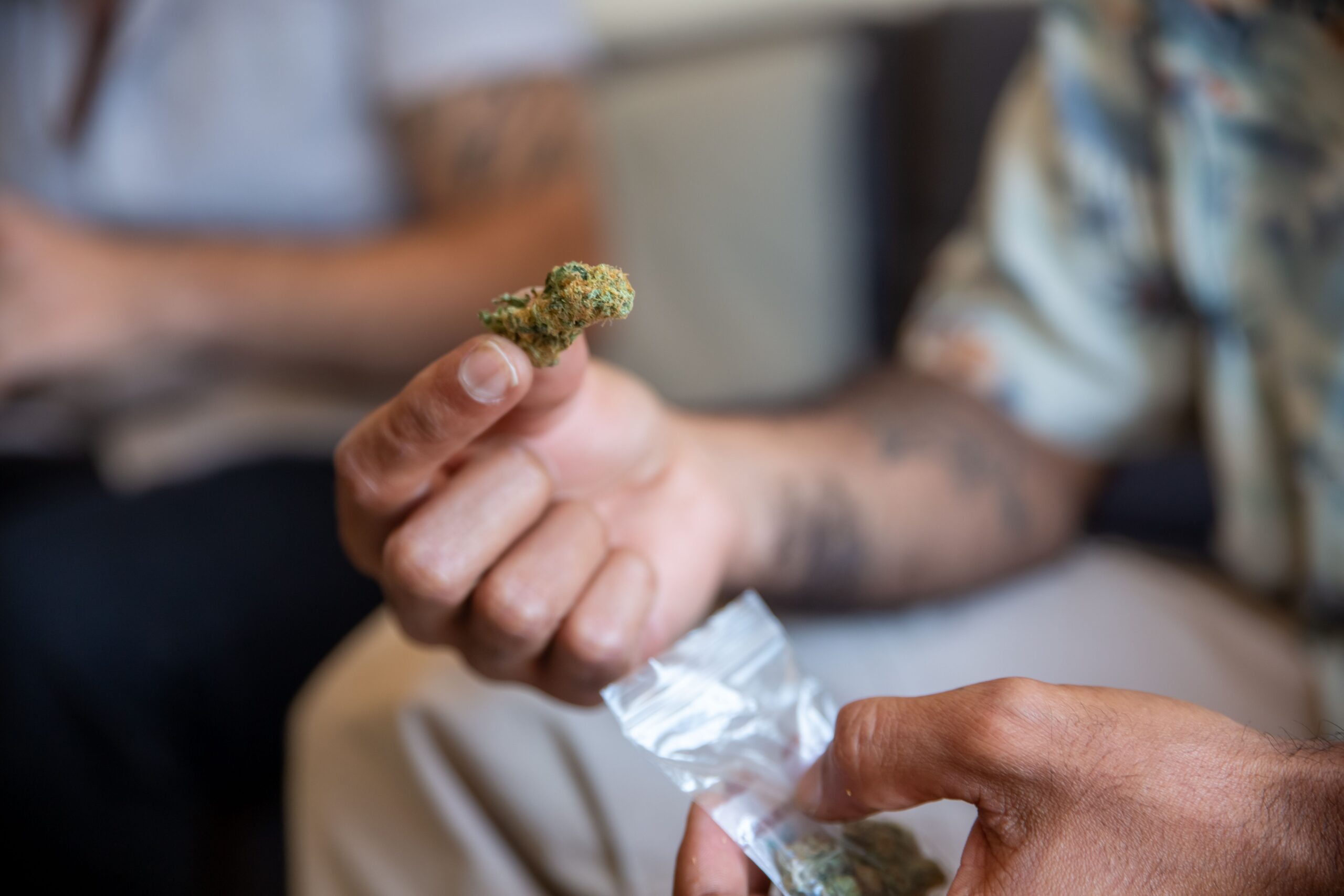 A beginner-friendly guide to a first low key cannabis session, with timing, setting, lower THC choices and safety basics